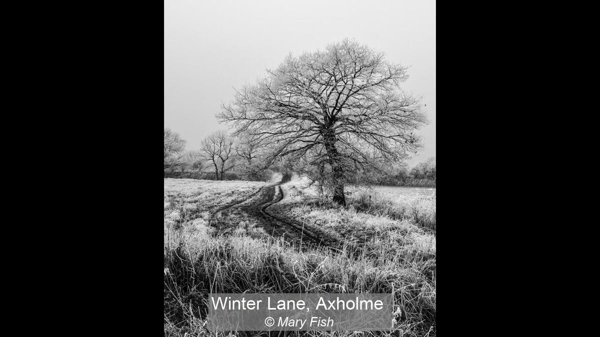Winter Lane, Axholme